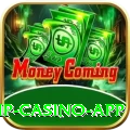 betpro VIP Casino App