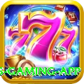 Bollybet Plus Gaming App